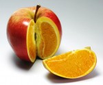 Barbara Kay: Apples, Oranges and Aborted Babies