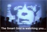 CG: Your Health: Fight Smart Meters and “Take Back Your Power”