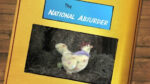 The National Absurder: Why Am I Gay?