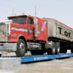 Weigh Station: Dinosaurs in the Bible